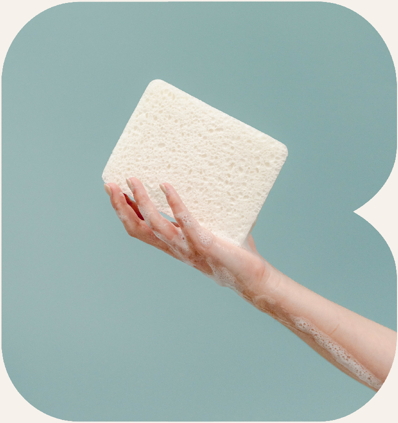 Best Cleaning Soak up Thick sponge